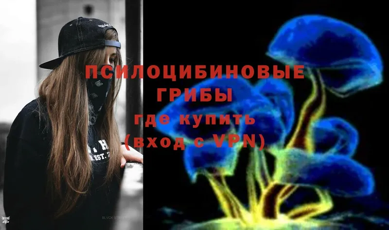 Галлюциногенные грибы Psilocybe  Бугульма 